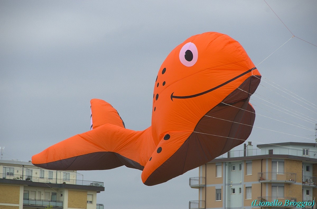 RIMINI 2012 - 060.jpg